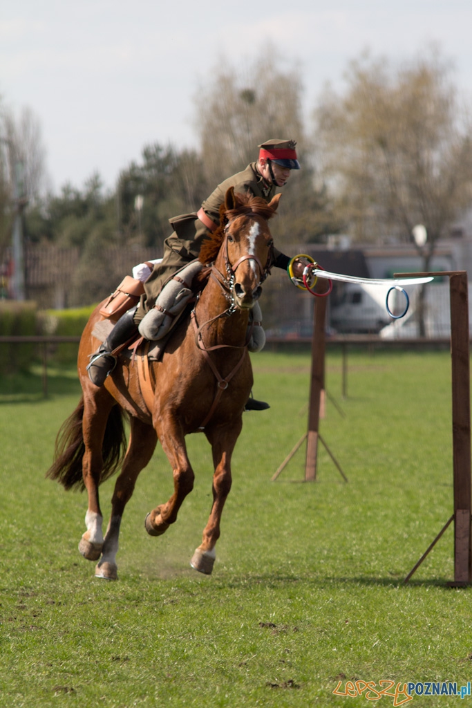 Dni Ułana 2011 - konkurs władania szpadą Foto: lepszyPOZNAN.pl / Piotr Rychter Dni Ułana 2011 - konkurs władania szpadą Foto: lepszyPOZNAN.pl / Piotr Rychter