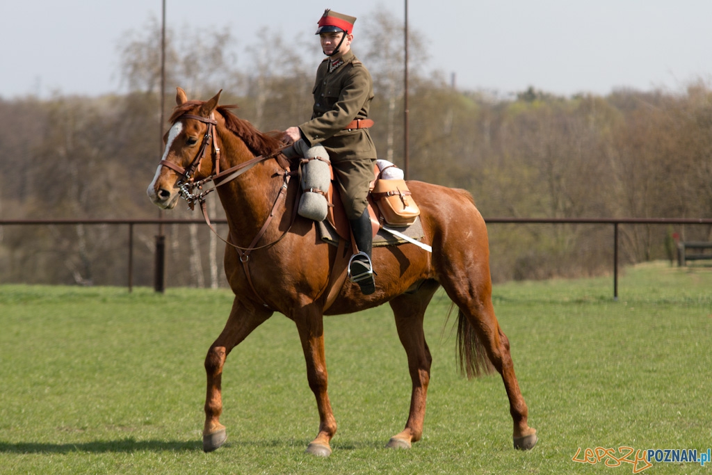 Dni Ułana 2011 - konkurs władania szpadą Foto: lepszyPOZNAN.pl / Piotr Rychter Dni Ułana 2011 - konkurs władania szpadą Foto: lepszyPOZNAN.pl / Piotr Rychter