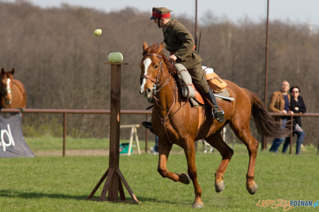 Dni Ułana 2011 - konkurs władania szpadą Foto: lepszyPOZNAN.pl / Piotr Rychter Dni Ułana 2011 - konkurs władania szpadą Foto: lepszyPOZNAN.pl / Piotr Rychter