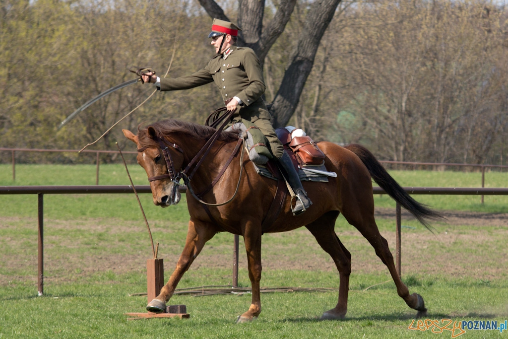 Dni Ułana 2011 - konkurs władania szpadą Foto: lepszyPOZNAN.pl / Piotr Rychter Dni Ułana 2011 - konkurs władania szpadą Foto: lepszyPOZNAN.pl / Piotr Rychter