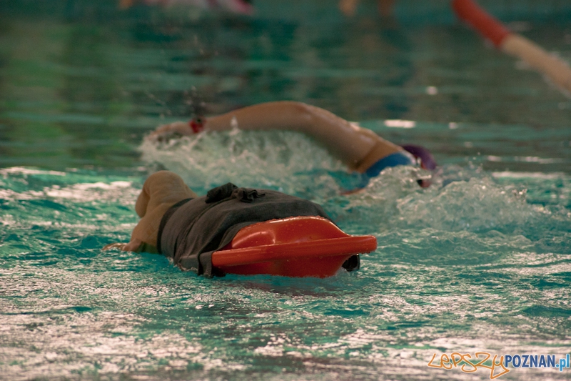 EKIDEN 2011 na AWF - 06.04.2011 r. Foto: LepszyPOZNAN.pl / Paweł Rychter EKIDEN 2011 na AWF - 06.04.2011 r. Foto: LepszyPOZNAN.pl / Paweł Rychter