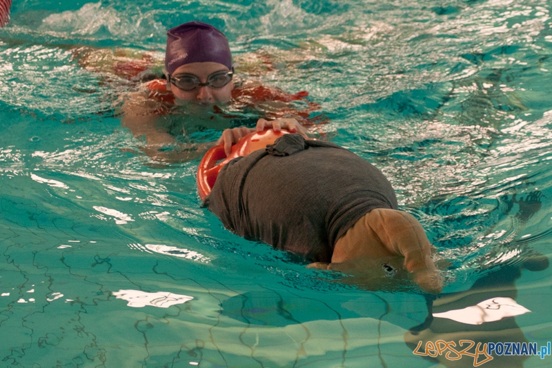 EKIDEN 2011 na AWF - 06.04.2011 r. Foto: LepszyPOZNAN.pl / Paweł Rychter EKIDEN 2011 na AWF - 06.04.2011 r. Foto: LepszyPOZNAN.pl / Paweł Rychter