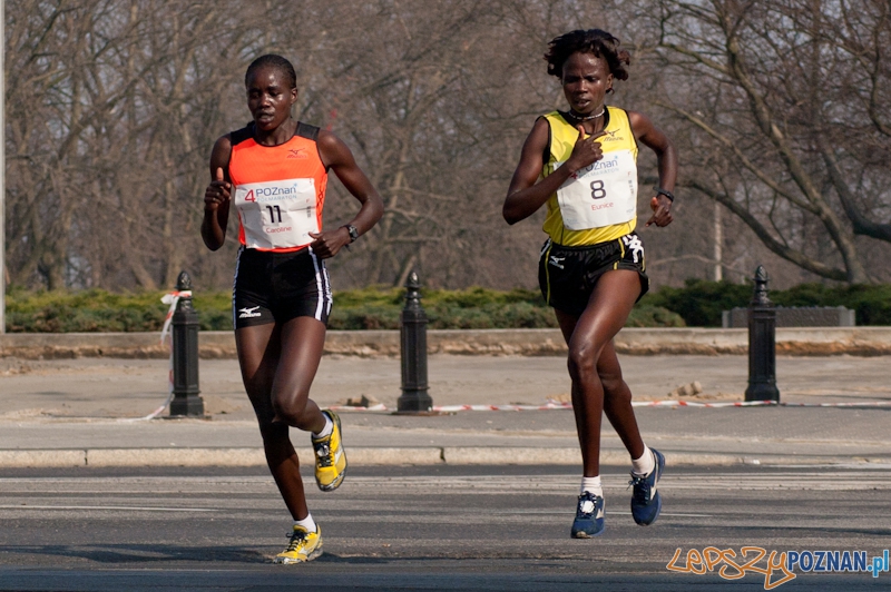 IV półmaraton - 3.04.2011 r. Foto: LepszyPOZNAN.pl / Paweł Rychter IV półmaraton - 3.04.2011 r. Foto: LepszyPOZNAN.pl / Paweł Rychter