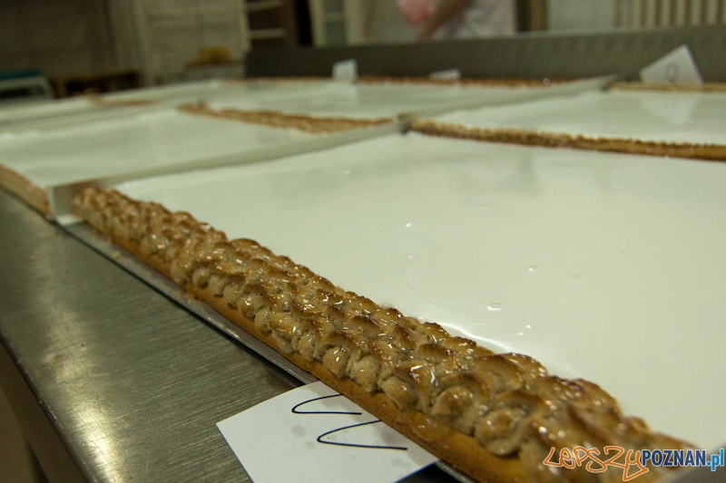 Przygotowanie największego Mazurka w Europie - 29.04.2011 r. Foto: LepszyPOZNAN.pl / Paweł Rychter Przygotowanie największego Mazurka w Europie - 29.04.2011 r. Foto: LepszyPOZNAN.pl / Paweł Rychter