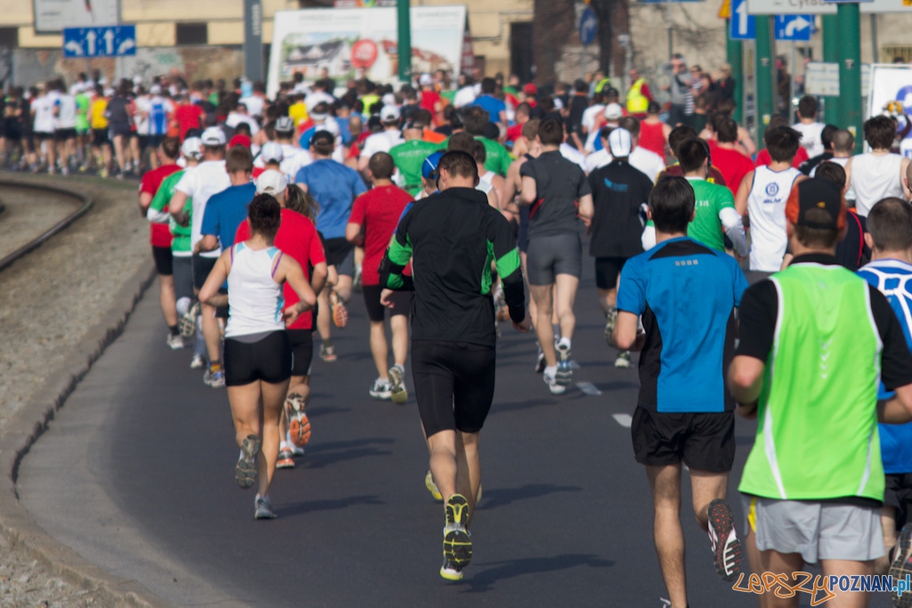 4 Poznań Półmaraton - 3.04.2011 Foto: lepszyPOZNAN.pl / Piotr Rychter 4 Poznań Półmaraton - 3.04.2011 Foto: lepszyPOZNAN.pl / Piotr Rychter
