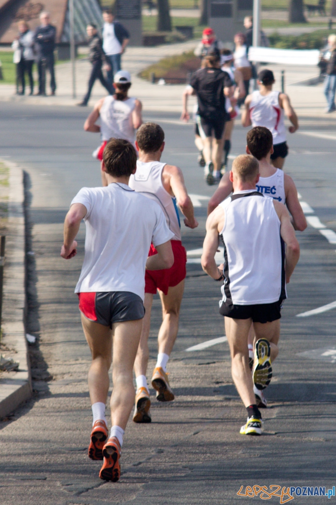 4 Poznań Półmaraton - 3.04.2011 Foto: lepszyPOZNAN.pl / Piotr Rychter 4 Poznań Półmaraton - 3.04.2011 Foto: lepszyPOZNAN.pl / Piotr Rychter