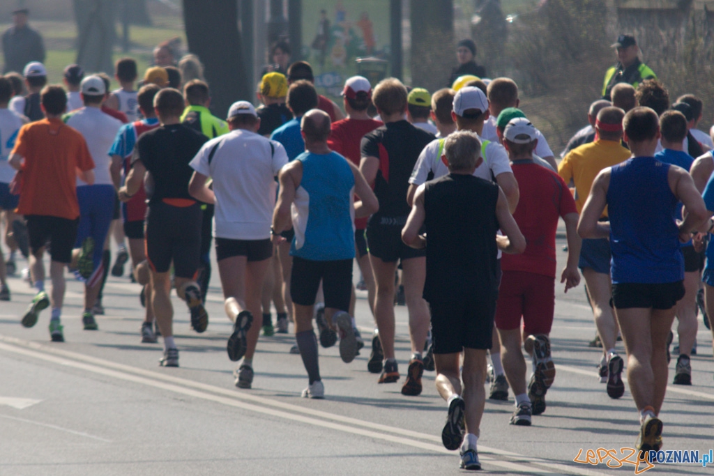4 Poznań Półmaraton - 3.04.2011 Foto: lepszyPOZNAN.pl / Piotr Rychter 4 Poznań Półmaraton - 3.04.2011 Foto: lepszyPOZNAN.pl / Piotr Rychter