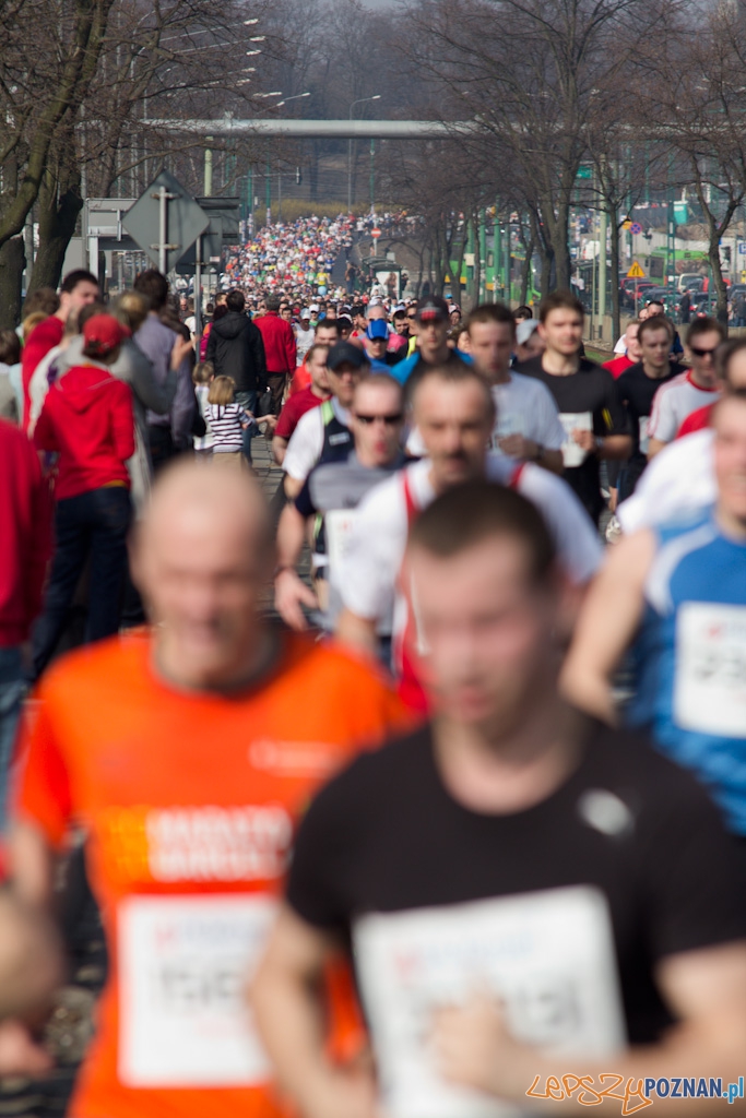 4 Poznań Półmaraton - 3.04.2011 Foto: lepszyPOZNAN.pl / Piotr Rychter 4 Poznań Półmaraton - 3.04.2011 Foto: lepszyPOZNAN.pl / Piotr Rychter