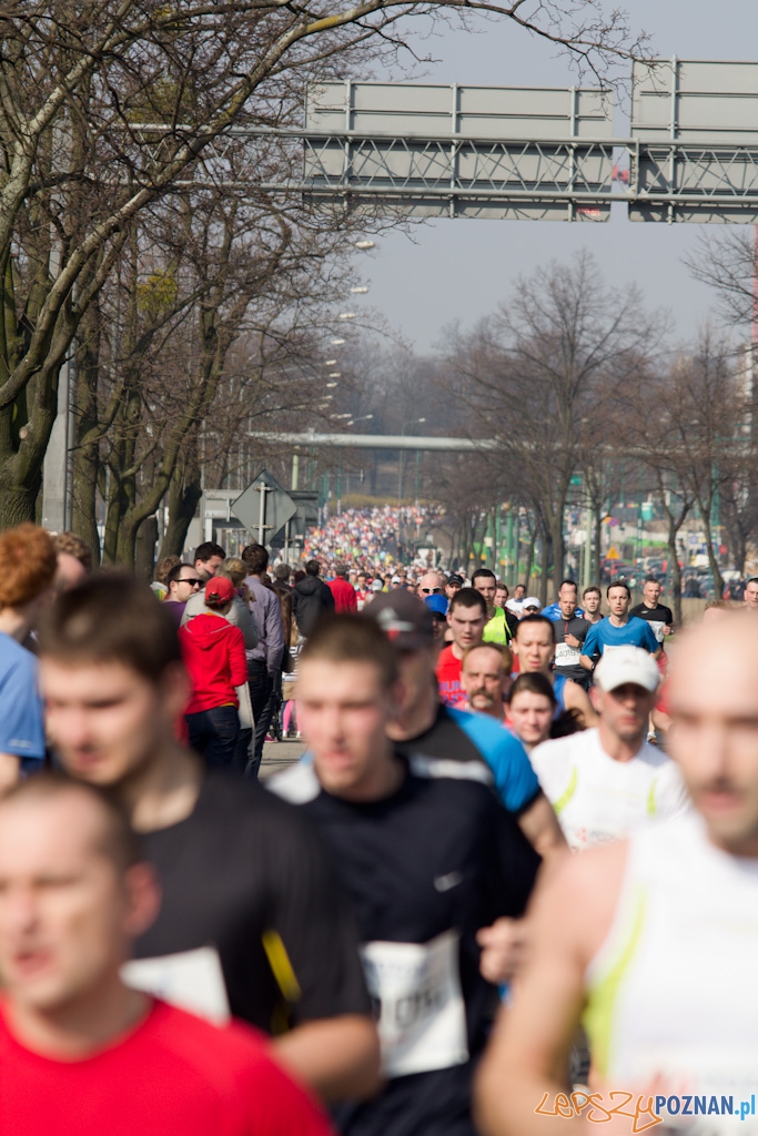 4 Poznañ Pó³maraton - 3.04.2011 Foto: lepszyPOZNAN.pl / Piotr Rychter 4 Poznañ Pó³maraton - 3.04.2011 Foto: lepszyPOZNAN.pl / Piotr Rychter