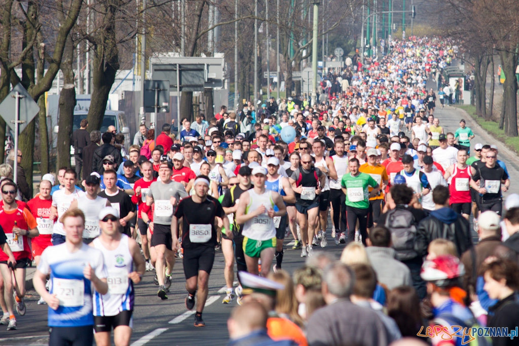 4 Poznań Półmaraton - 3.04.2011 Foto: lepszyPOZNAN.pl / Piotr Rychter 4 Poznań Półmaraton - 3.04.2011 Foto: lepszyPOZNAN.pl / Piotr Rychter