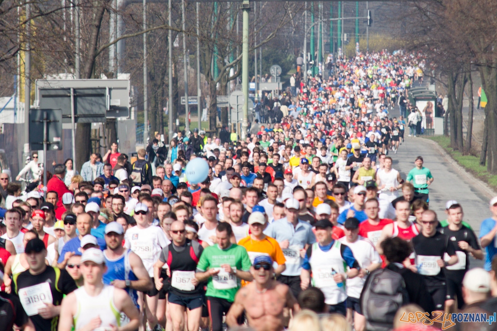 4 Poznań Półmaraton - 3.04.2011 Foto: lepszyPOZNAN.pl / Piotr Rychter 4 Poznań Półmaraton - 3.04.2011 Foto: lepszyPOZNAN.pl / Piotr Rychter