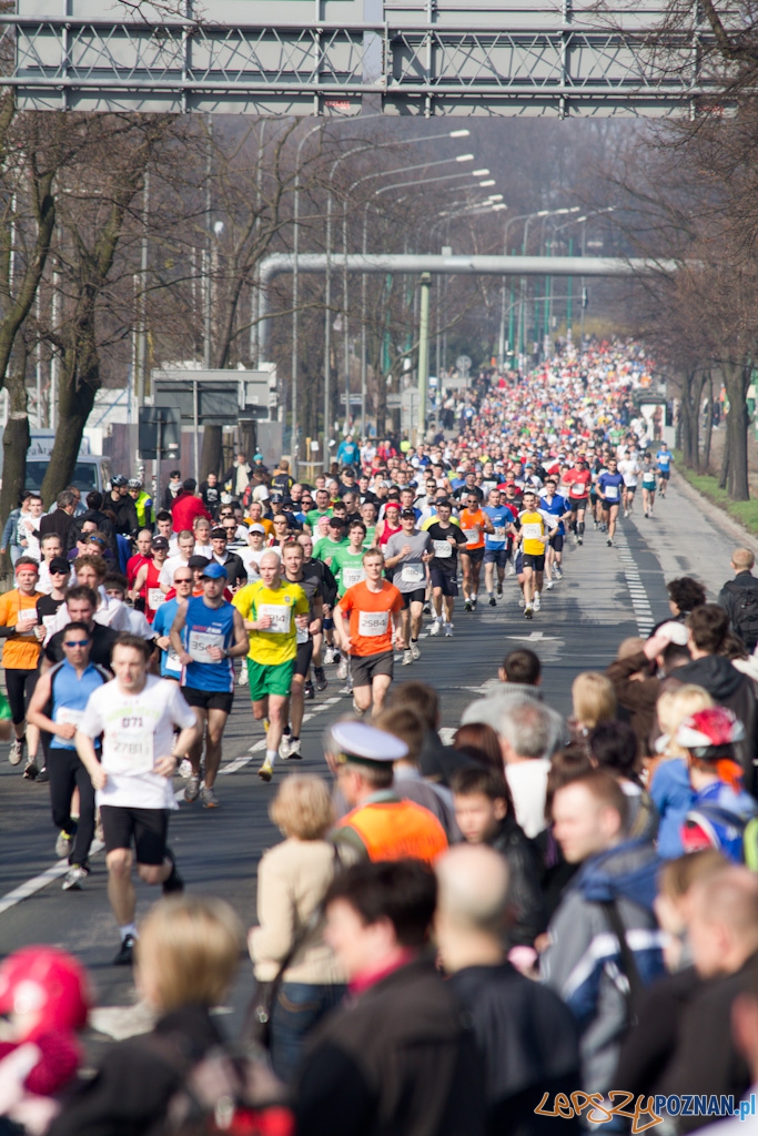 4 Poznań Półmaraton - 3.04.2011 Foto: lepszyPOZNAN.pl / Piotr Rychter 4 Poznań Półmaraton - 3.04.2011 Foto: lepszyPOZNAN.pl / Piotr Rychter