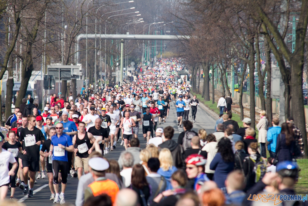4 Poznań Półmaraton - 3.04.2011 Foto: lepszyPOZNAN.pl / Piotr Rychter 4 Poznań Półmaraton - 3.04.2011 Foto: lepszyPOZNAN.pl / Piotr Rychter