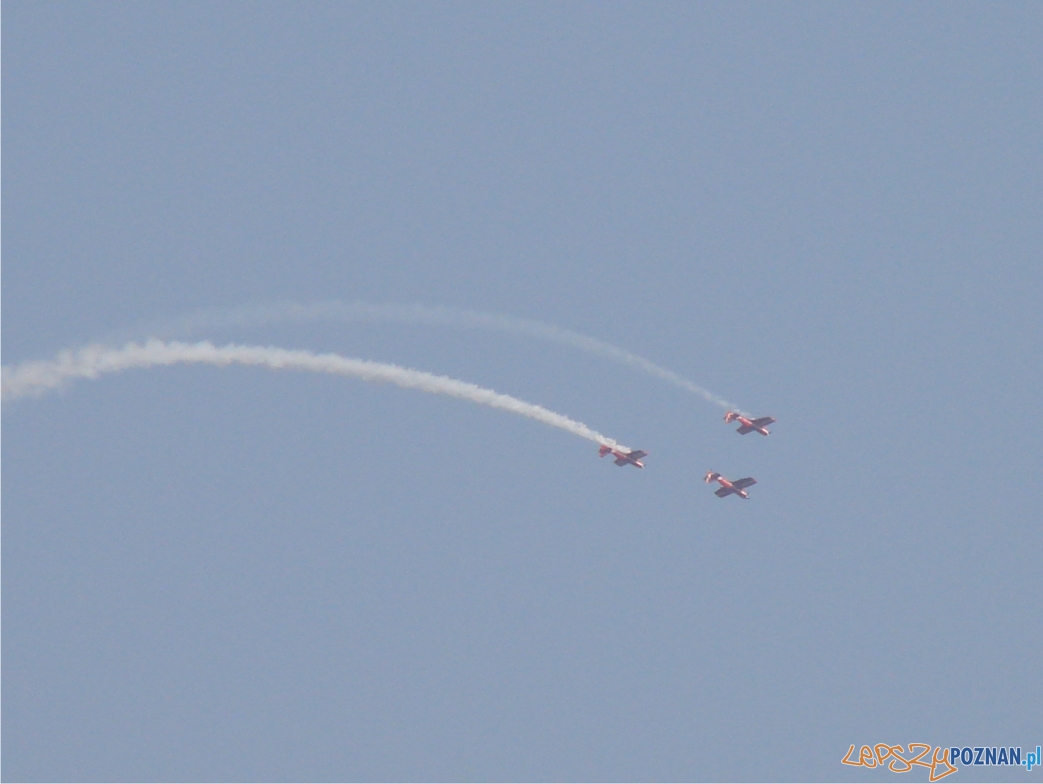 Żelazny trening Foto: lepszyPOZNAN.pl / gsm Żelazny trening Foto: lepszyPOZNAN.pl / gsm