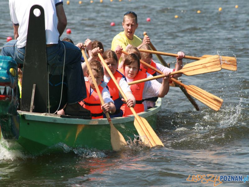 Dragony Foto: Marta Sojkin, Poznańskie Dragony Dragony Foto: Marta Sojkin, Poznańskie Dragony