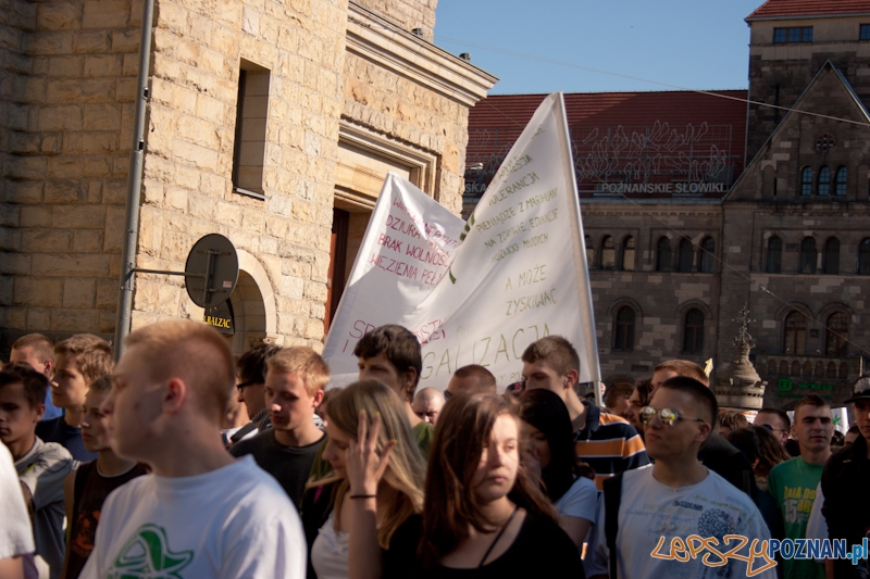 Marsz Wyzwolenia Konopi - Poznań 07.05.2011 r. Foto: LepszyPOZNAN.pl / Paweł Rychter Marsz Wyzwolenia Konopi - Poznań 07.05.2011 r. Foto: LepszyPOZNAN.pl / Paweł Rychter