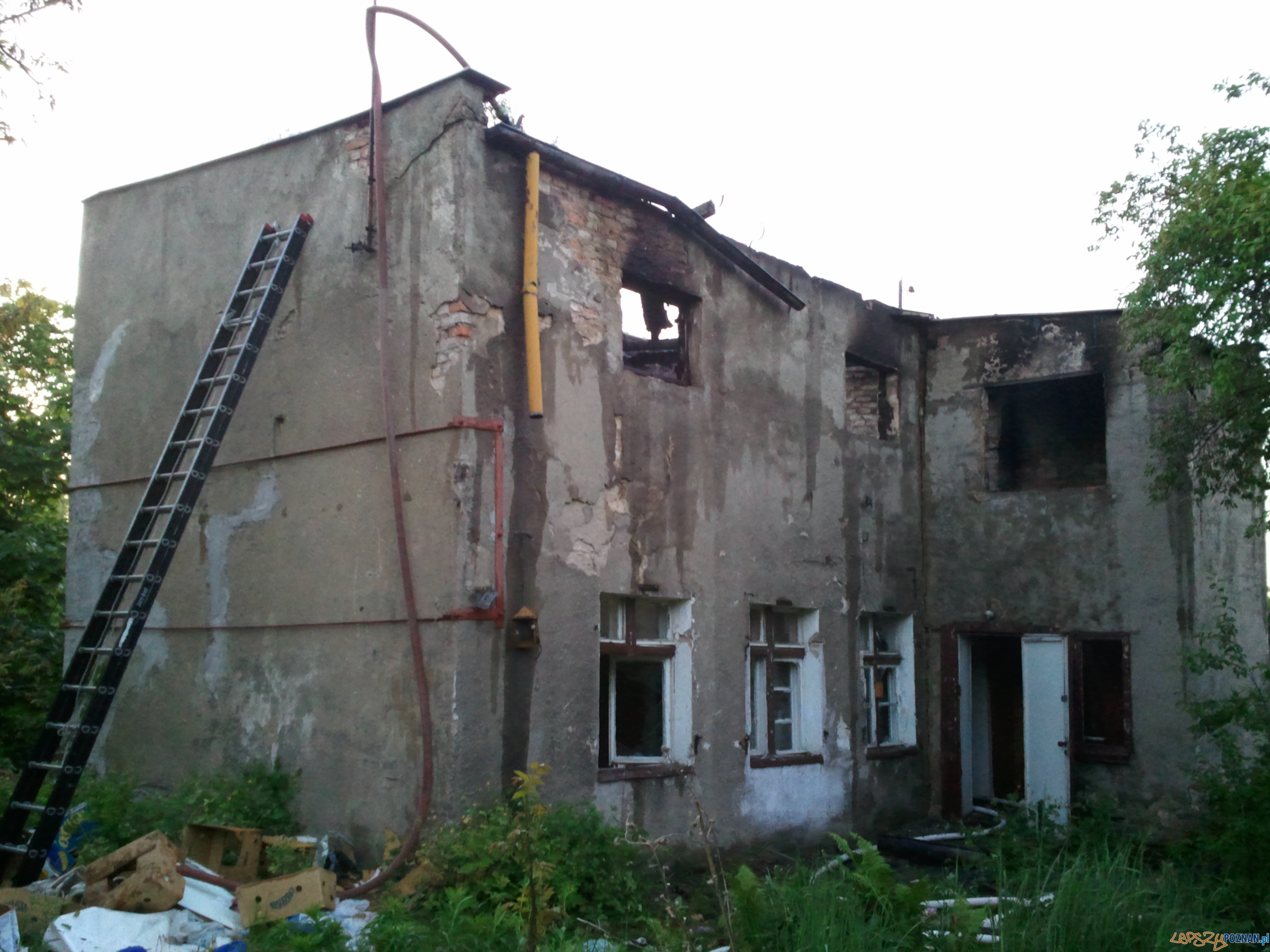 pożar na Studziennej Foto: lepszyPOZNAN.pl / gsm pożar na Studziennej Foto: lepszyPOZNAN.pl / gsm