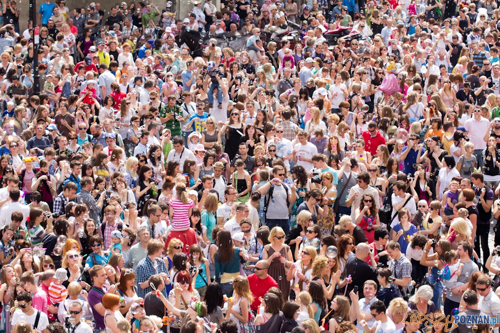 Bańki mydlane Foto: lepszyPOZNAN.pl / Piotr Rychter Bańki mydlane Foto: lepszyPOZNAN.pl / Piotr Rychter