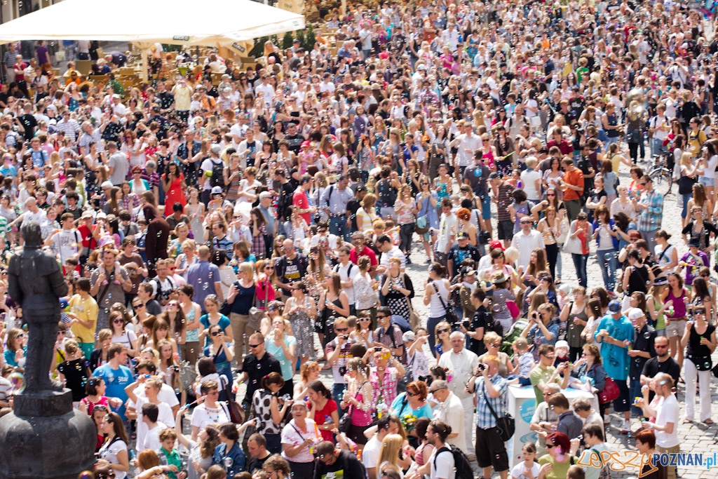 Bańki mydlane Foto: lepszyPOZNAN.pl / Piotr Rychter Bańki mydlane Foto: lepszyPOZNAN.pl / Piotr Rychter