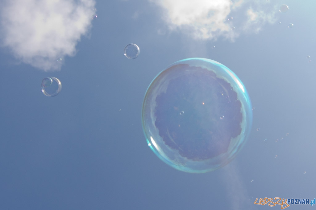 Bańki mydlane Foto: lepszyPOZNAN.pl / Piotr Rychter Bańki mydlane Foto: lepszyPOZNAN.pl / Piotr Rychter