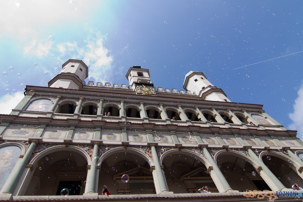 Bańki mydlane Foto: lepszyPOZNAN.pl / Piotr Rychter Bańki mydlane Foto: lepszyPOZNAN.pl / Piotr Rychter