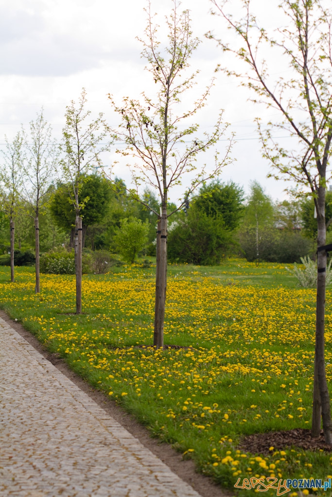 Ogród botaniczny - majówka 2011 Foto: lepszyPOZNAN.pl / Piotr Rychter Ogród botaniczny - majówka 2011 Foto: lepszyPOZNAN.pl / Piotr Rychter