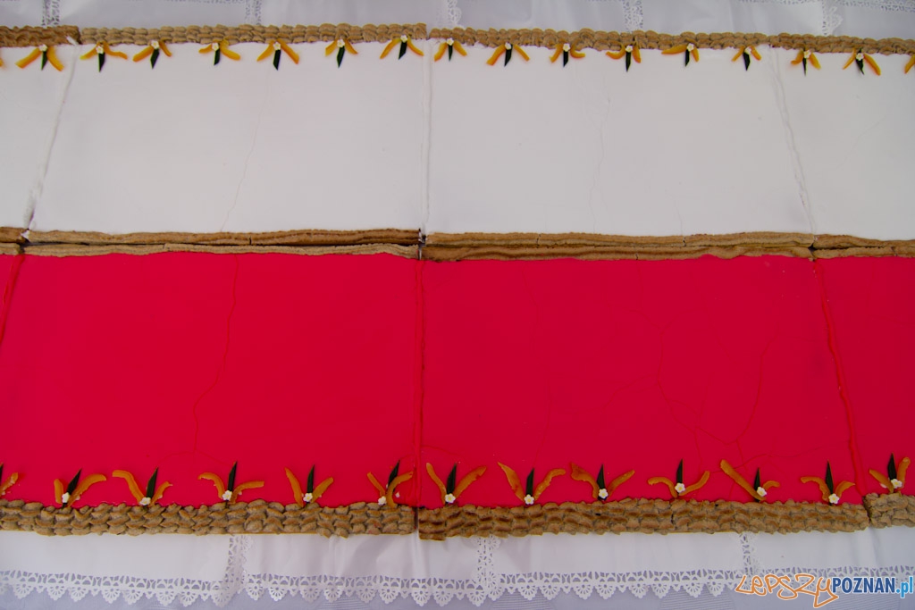 Dzień Flagi - 2.05.2011 r. Foto: lepszyPOZNAN.pl / Piotr Rychter Dzień Flagi - 2.05.2011 r. Foto: lepszyPOZNAN.pl / Piotr Rychter