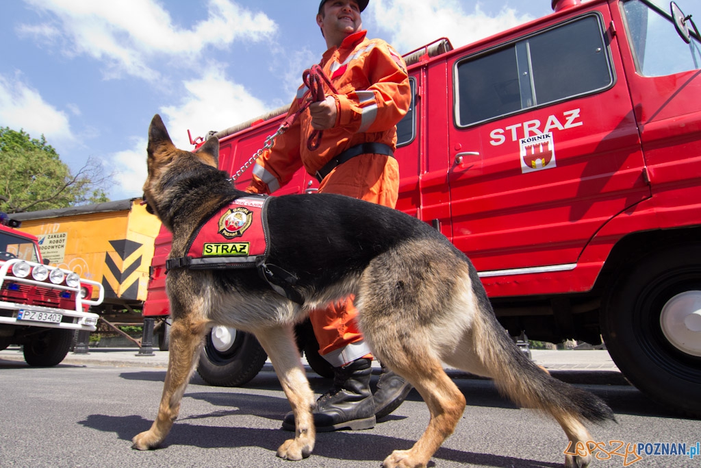 Dzień Strażaka Foto: lepszyPOZNAN.pl / Piotr Rychter Dzień Strażaka Foto: lepszyPOZNAN.pl / Piotr Rychter