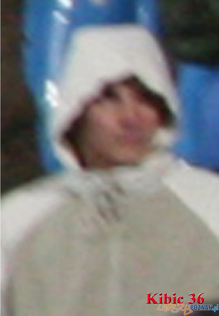 kibic (26) Foto: KWP w Poznaniu kibic (26) Foto: KWP w Poznaniu