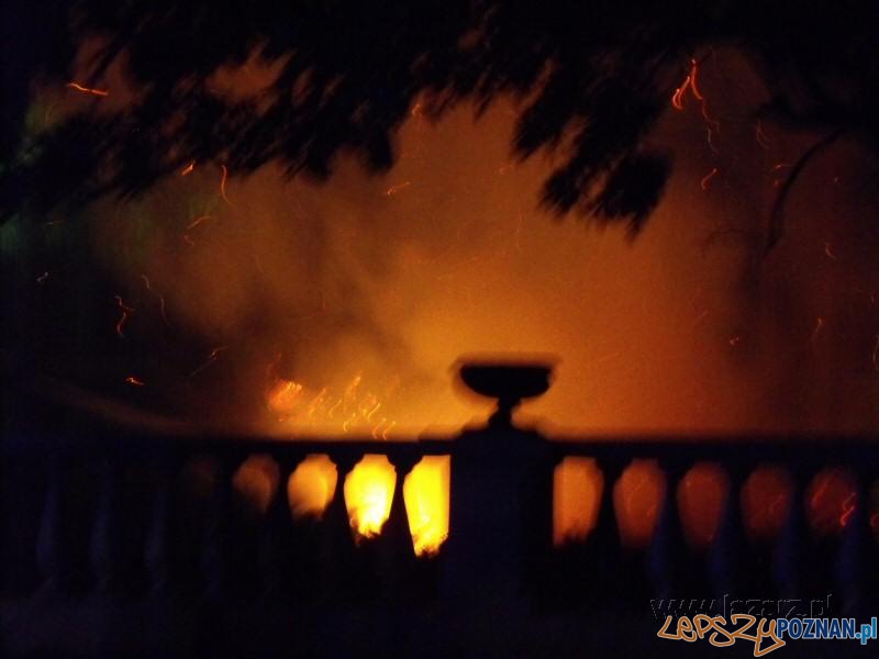100 lat Palmiarni Poznańskiej - pożar Foto: lazarz.pl / Janusz Ludwiczak 100 lat Palmiarni Poznańskiej - pożar Foto: lazarz.pl / Janusz Ludwiczak