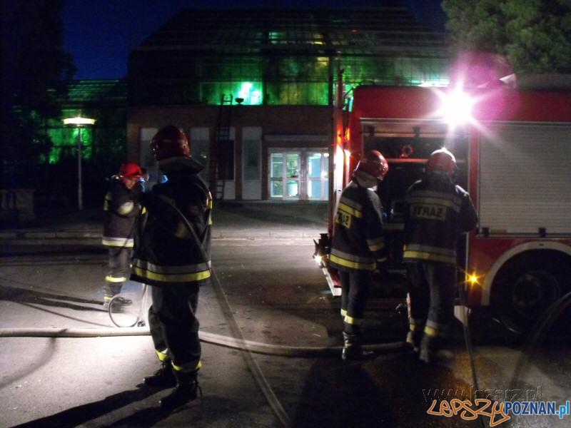 100 lat Palmiarni Poznańskiej - pożar Foto: lazarz.pl / Janusz Ludwiczak 100 lat Palmiarni Poznańskiej - pożar Foto: lazarz.pl / Janusz Ludwiczak