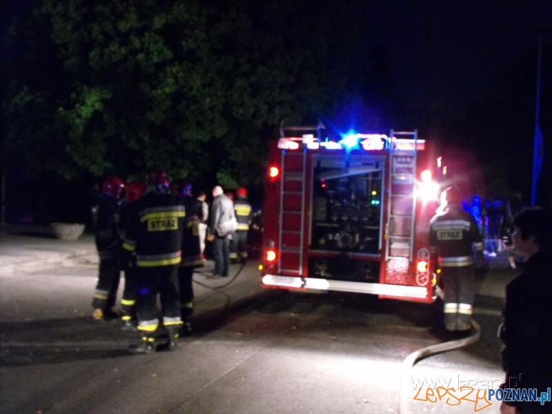 100 lat Palmiarni Poznańskiej - pożar Foto: lazarz.pl / Janusz Ludwiczak 100 lat Palmiarni Poznańskiej - pożar Foto: lazarz.pl / Janusz Ludwiczak