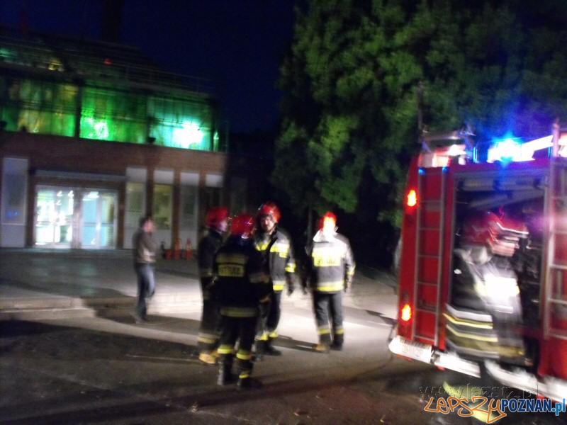 100 lat Palmiarni Poznańskiej - pożar Foto: lazarz.pl / Janusz Ludwiczak 100 lat Palmiarni Poznańskiej - pożar Foto: lazarz.pl / Janusz Ludwiczak