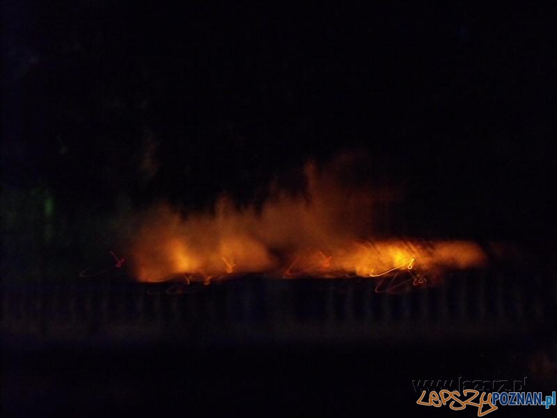 100 lat Palmiarni Poznańskiej - pożar Foto: lazarz.pl / Janusz Ludwiczak 100 lat Palmiarni Poznańskiej - pożar Foto: lazarz.pl / Janusz Ludwiczak