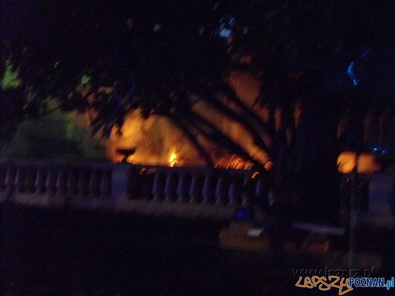 100 lat Palmiarni Poznańskiej - pożar Foto: lazarz.pl / Janusz Ludwiczak 100 lat Palmiarni Poznańskiej - pożar Foto: lazarz.pl / Janusz Ludwiczak