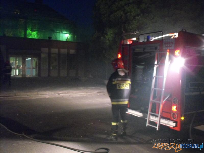 100 lat Palmiarni Poznańskiej - pożar Foto: lazarz.pl / Janusz Ludwiczak 100 lat Palmiarni Poznańskiej - pożar Foto: lazarz.pl / Janusz Ludwiczak