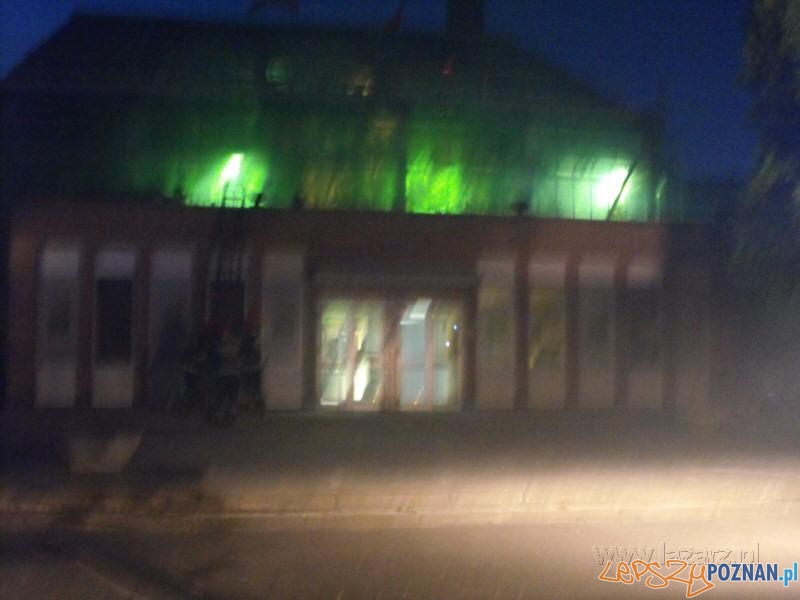 100 lat Palmiarni Poznańskiej - pożar Foto: lazarz.pl / Janusz Ludwiczak 100 lat Palmiarni Poznańskiej - pożar Foto: lazarz.pl / Janusz Ludwiczak