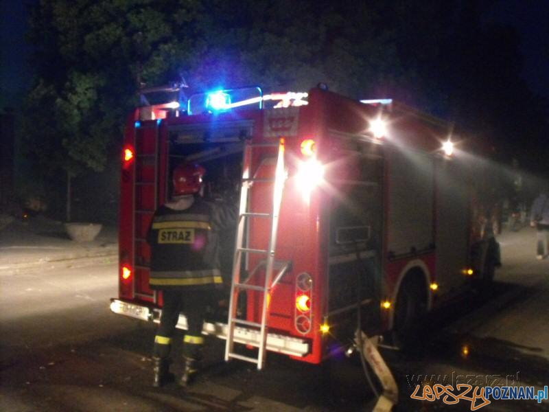 100 lat Palmiarni Poznańskiej - pożar Foto: lazarz.pl / Janusz Ludwiczak 100 lat Palmiarni Poznańskiej - pożar Foto: lazarz.pl / Janusz Ludwiczak