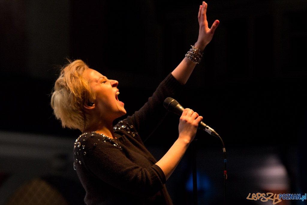 Nowe Nurty - Pinnawela Foto: lepszyPOZNAN.pl / Piotr Rychter Nowe Nurty - Pinnawela Foto: lepszyPOZNAN.pl / Piotr Rychter