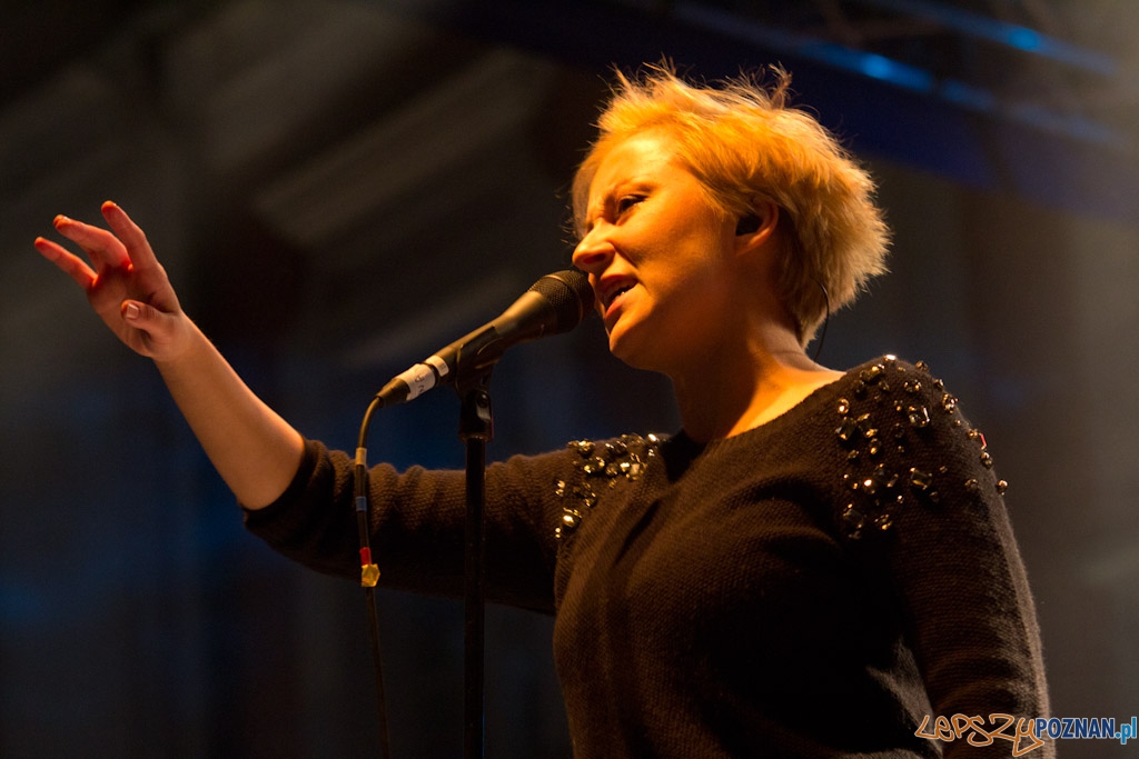 Nowe Nurty - Pinnawela Foto: lepszyPOZNAN.pl / Piotr Rychter Nowe Nurty - Pinnawela Foto: lepszyPOZNAN.pl / Piotr Rychter