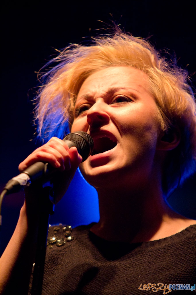 Nowe Nurty - Pinnawela Foto: lepszyPOZNAN.pl / Piotr Rychter Nowe Nurty - Pinnawela Foto: lepszyPOZNAN.pl / Piotr Rychter