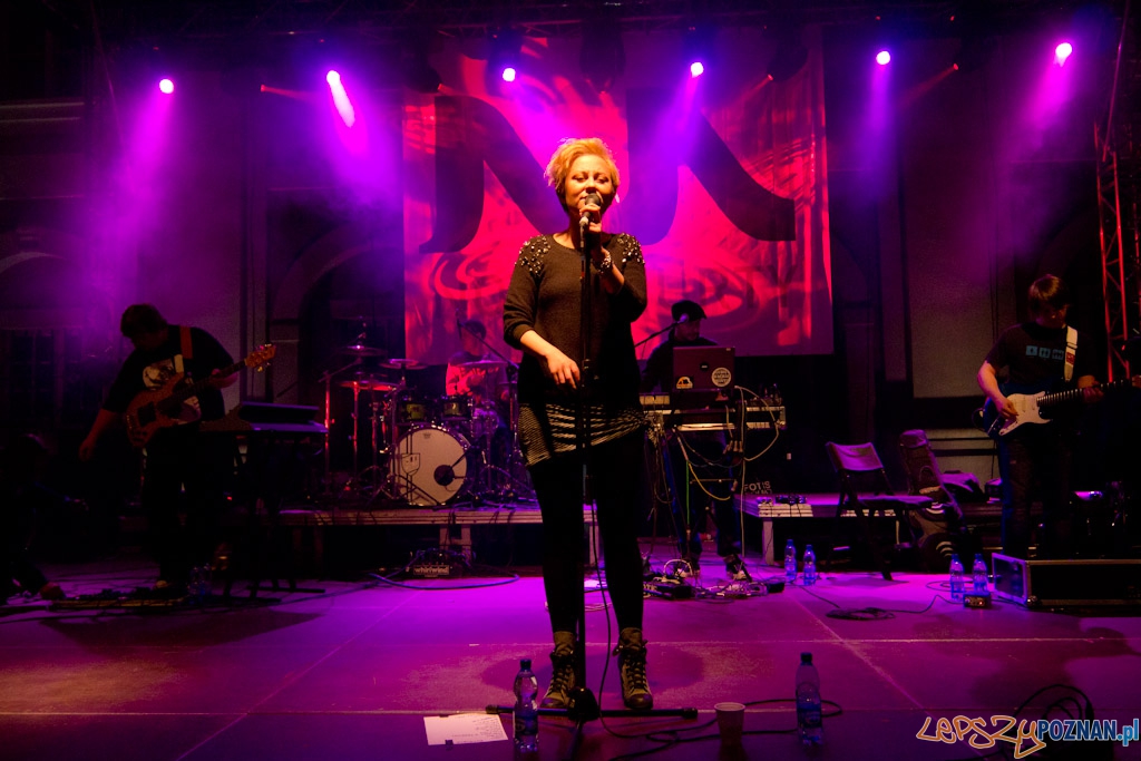 Nowe Nurty - Pinnawela Foto: lepszyPOZNAN.pl / Piotr Rychter Nowe Nurty - Pinnawela Foto: lepszyPOZNAN.pl / Piotr Rychter