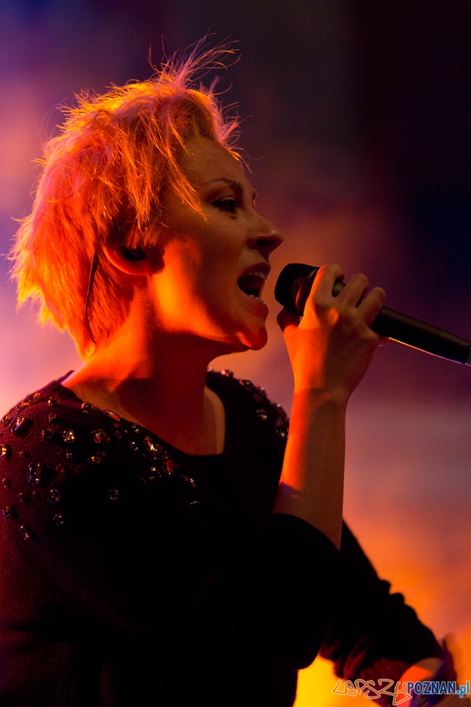 Nowe Nurty - Pinnawela Foto: lepszyPOZNAN.pl / Piotr Rychter Nowe Nurty - Pinnawela Foto: lepszyPOZNAN.pl / Piotr Rychter