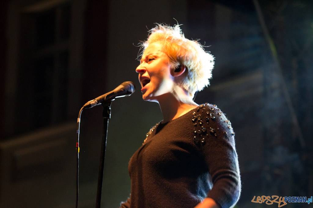 Nowe Nurty - Pinnawela Foto: lepszyPOZNAN.pl / Piotr Rychter Nowe Nurty - Pinnawela Foto: lepszyPOZNAN.pl / Piotr Rychter