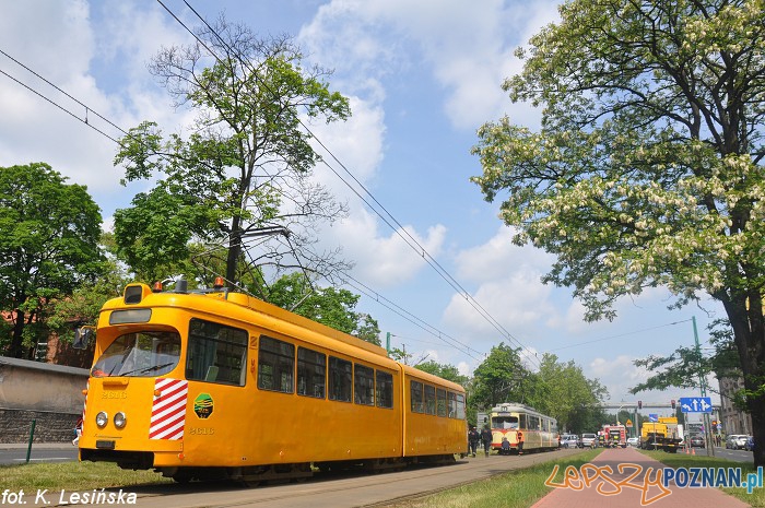 Śmiertelne potrącenie rowerzysty Foto: MPK / K. Lesińska Śmiertelne potrącenie rowerzysty Foto: MPK / K. Lesińska
