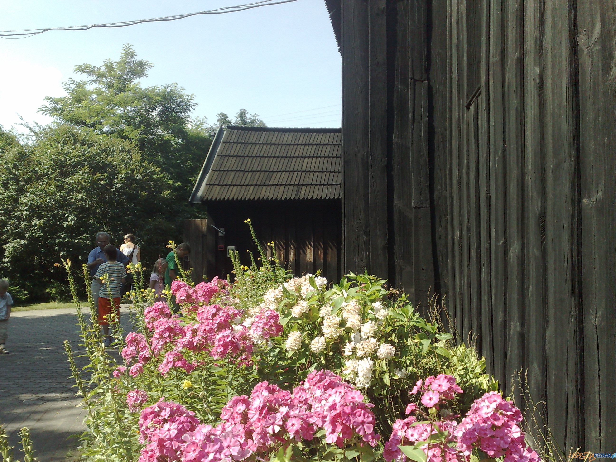 2_Wierzenica05 Foto: 2_Wierzenica05 Foto: