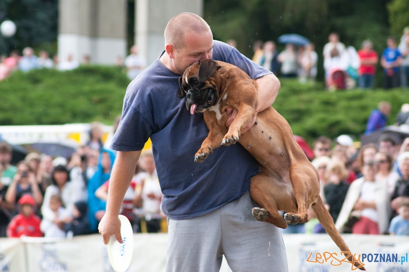 Dog Chow Disc Cup Poznań 2011 - 19.06.2011 r. Foto: LepszyPOZNAN.pl / Paweł Rychter Dog Chow Disc Cup Poznań 2011 - 19.06.2011 r. Foto: LepszyPOZNAN.pl / Paweł Rychter