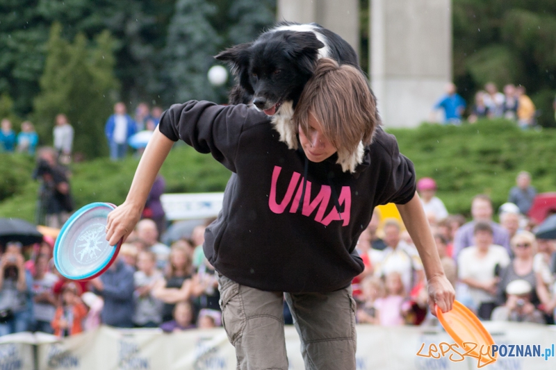 Dog Chow Disc Cup Poznań 2011 - 19.06.2011 r. Foto: LepszyPOZNAN.pl / Paweł Rychter Dog Chow Disc Cup Poznań 2011 - 19.06.2011 r. Foto: LepszyPOZNAN.pl / Paweł Rychter