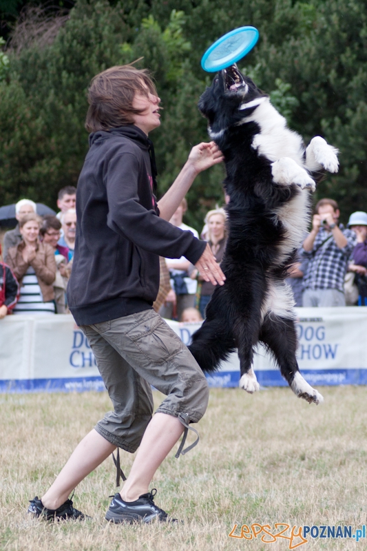 Dog Chow Disc Cup Poznań 2011 - 19.06.2011 r. Foto: LepszyPOZNAN.pl / Paweł Rychter Dog Chow Disc Cup Poznań 2011 - 19.06.2011 r. Foto: LepszyPOZNAN.pl / Paweł Rychter