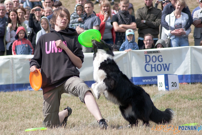 Dog Chow Disc Cup Poznań 2011 - 19.06.2011 r. Foto: LepszyPOZNAN.pl / Paweł Rychter Dog Chow Disc Cup Poznań 2011 - 19.06.2011 r. Foto: LepszyPOZNAN.pl / Paweł Rychter